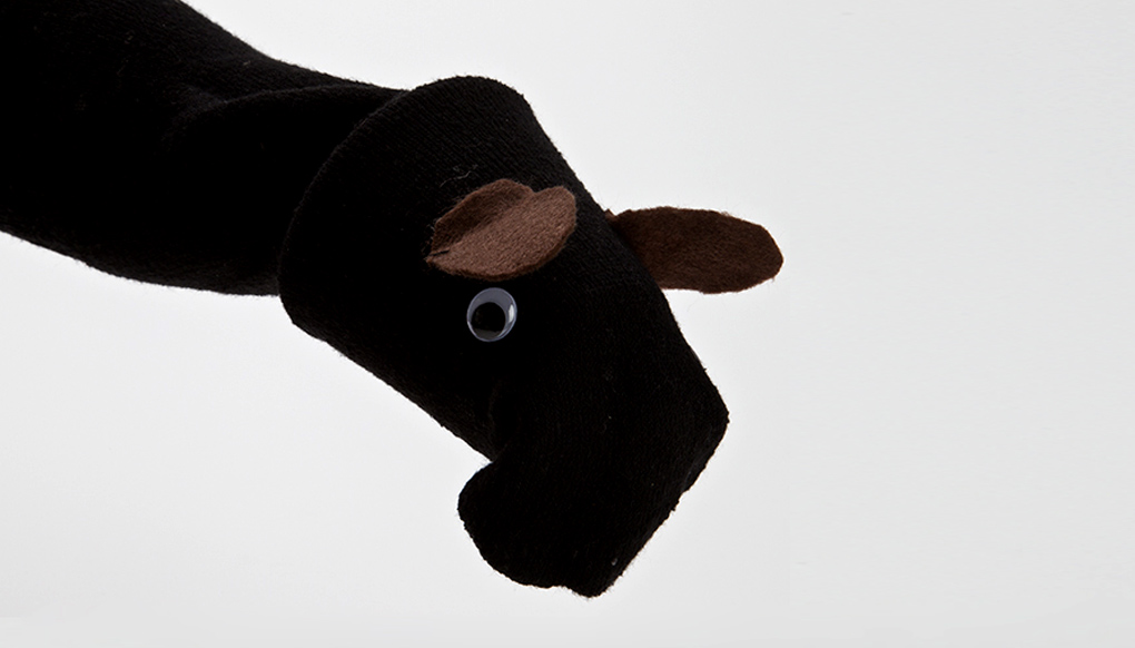 Tapir Sock Puppet Completed Activity