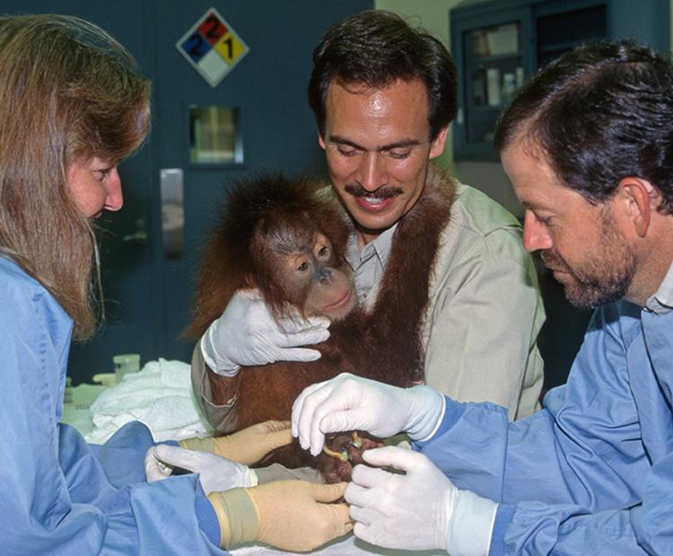 Karen being held by a wildlife care specialist while getting a check-up.