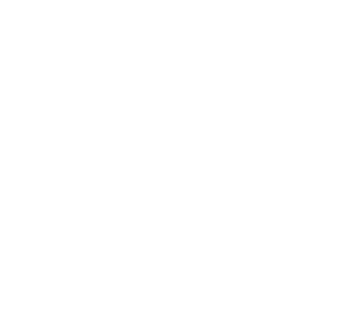 Lizard sizes compared to a bed.